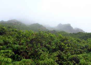 Гваделупа, фото № 3640 – фотографии Гваделупы