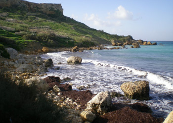 Сан-Блас-Бэй, Гозо остров, Мальта, фото № 41608 – фотографии Мальты