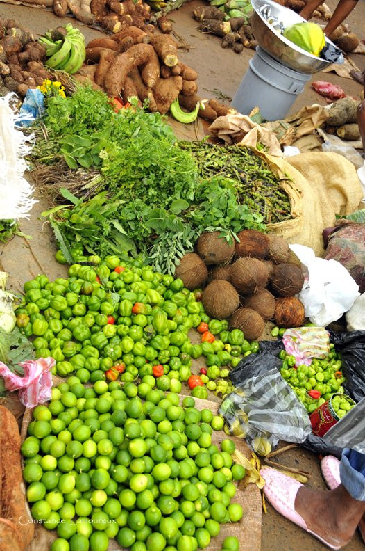 Самана, Доминикана, фото № 30629 – фотографии Доминиканы