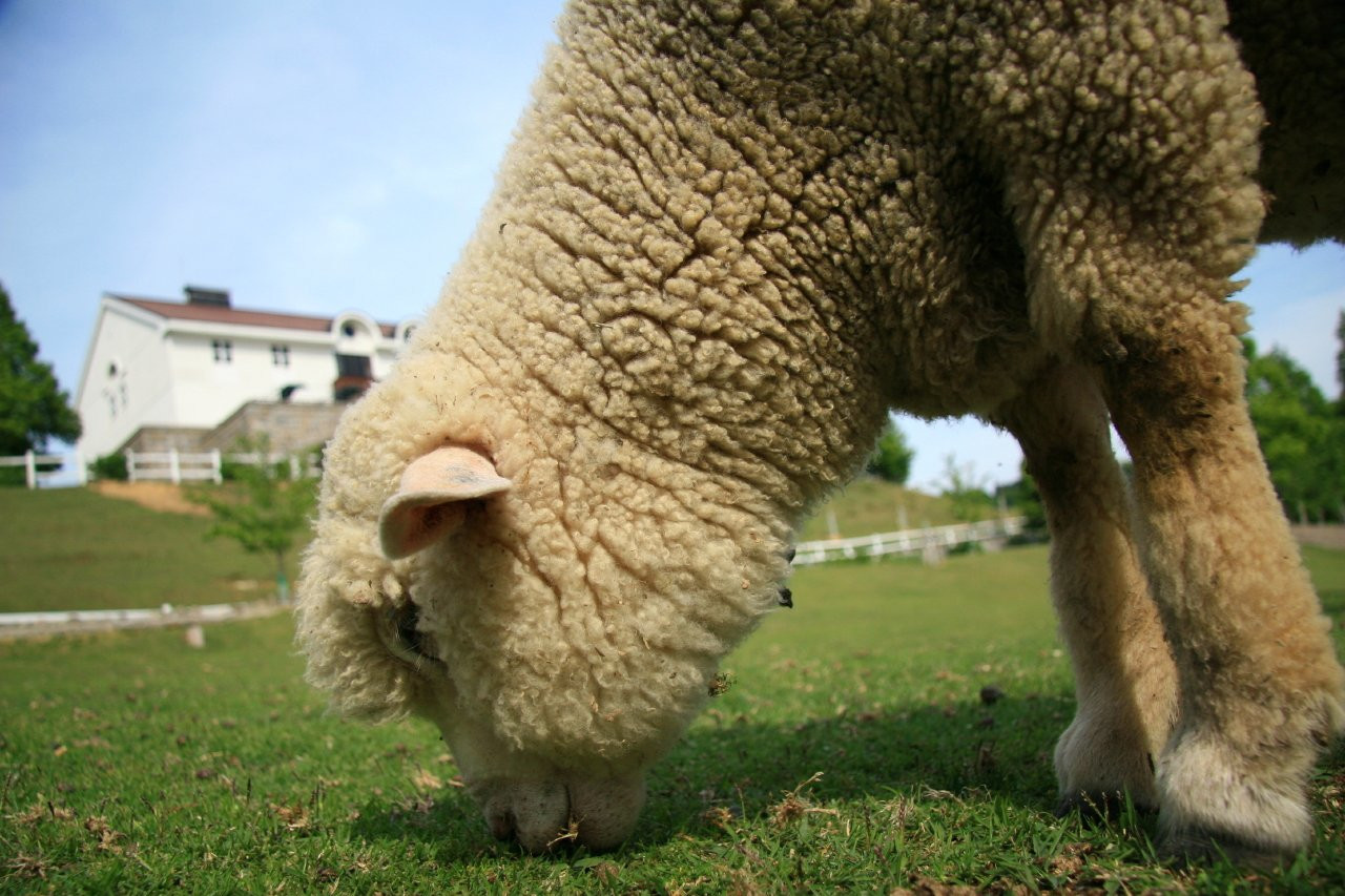 Кобе(Kobe) – фотографии Японии