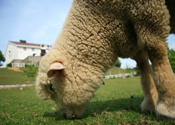 Кобе(Kobe) – фотографии Японии