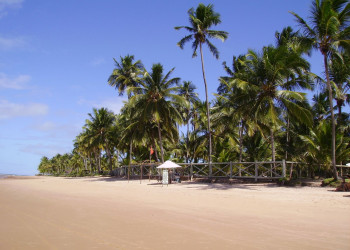 Пляж в Марау, Бразилия. Фото 6 – фотографии Бразилии