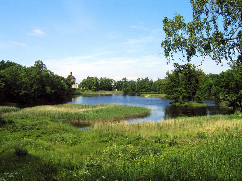 Природа в Ломоносова, Россия – фотографии России