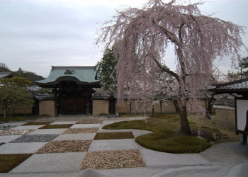 Kyoto – фотографии Японии