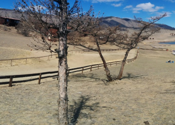 Турбаза Да-Ши, Малое море. Фото 3 – фотографии России