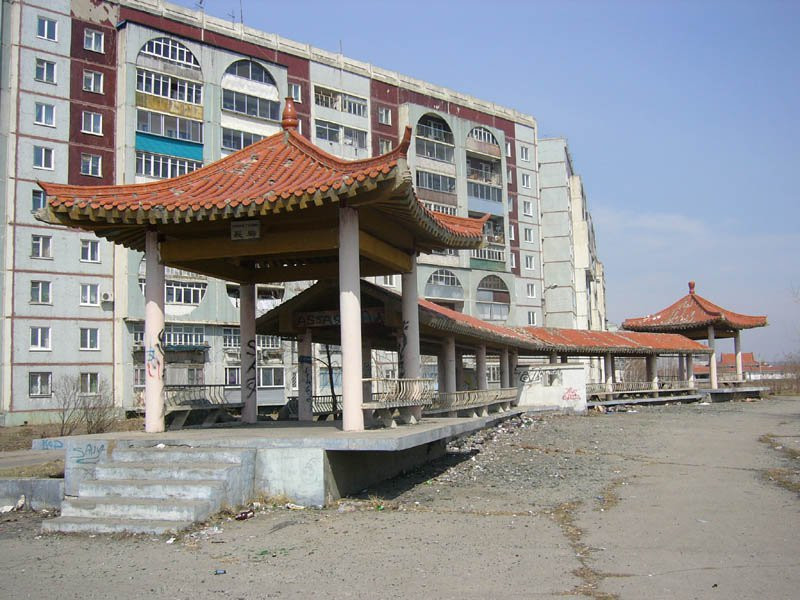 Дома в Благовещенске, Россия – фотографии России