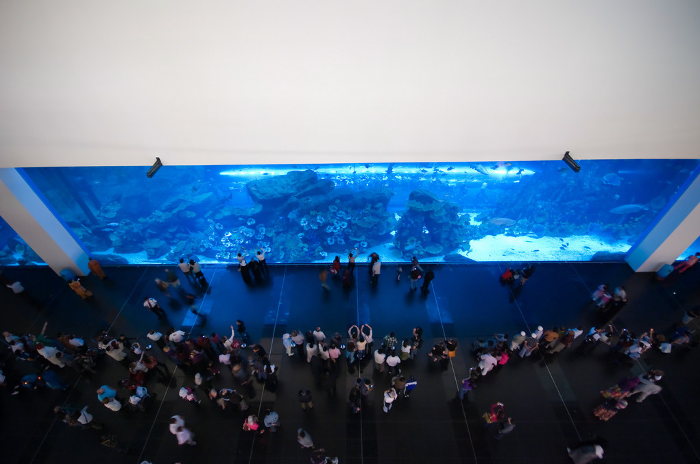 Аквариум Дубай – фотографии ОАЭ