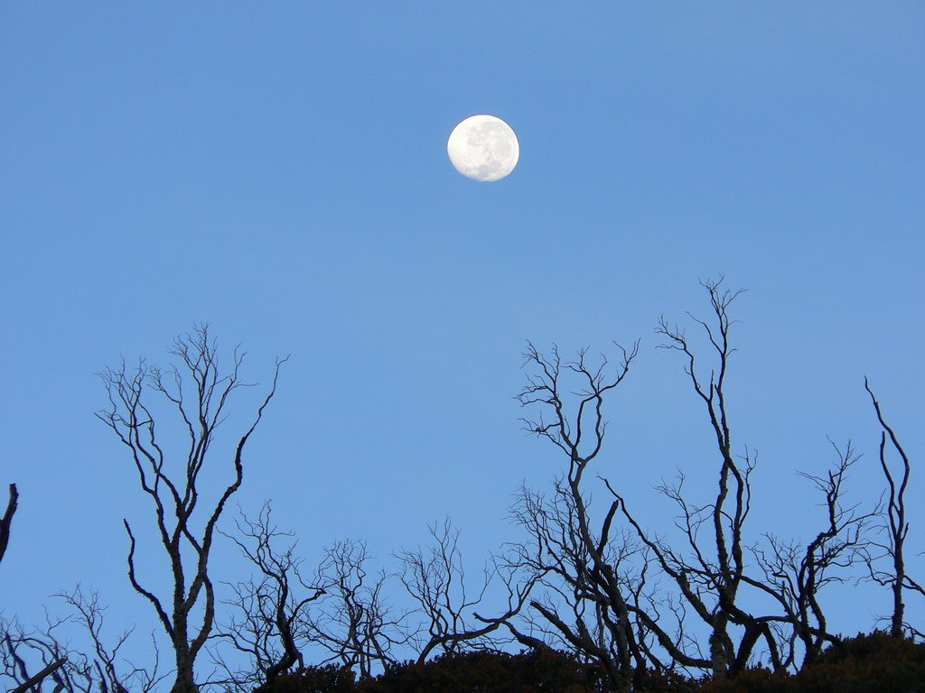 Чиррипо Национальный Парк, Сан Хосе провинция, Коста-Рика, фото № 41245 – фотографии Коста-Рики