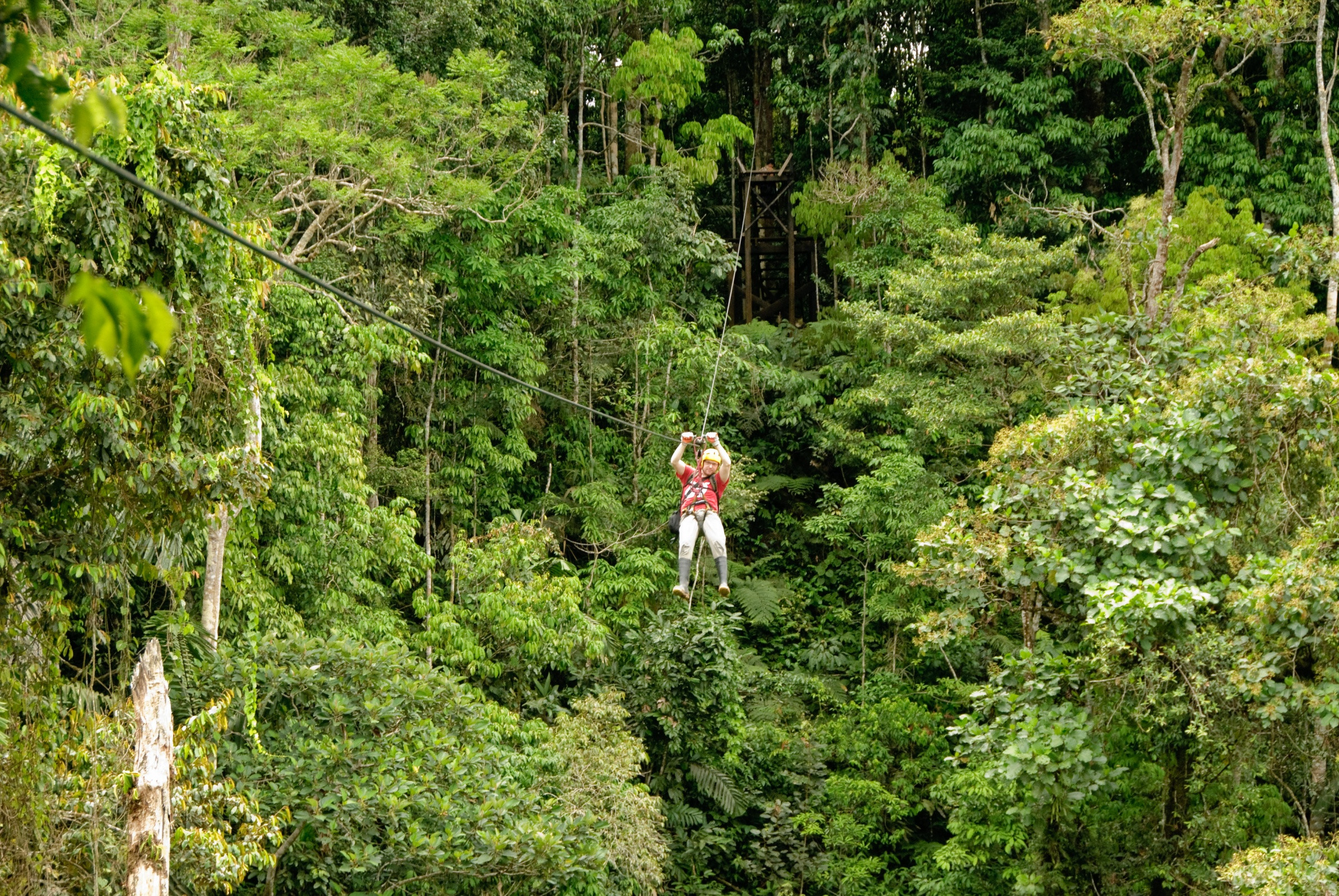 Национальный Парк Ману – фотографии Перу