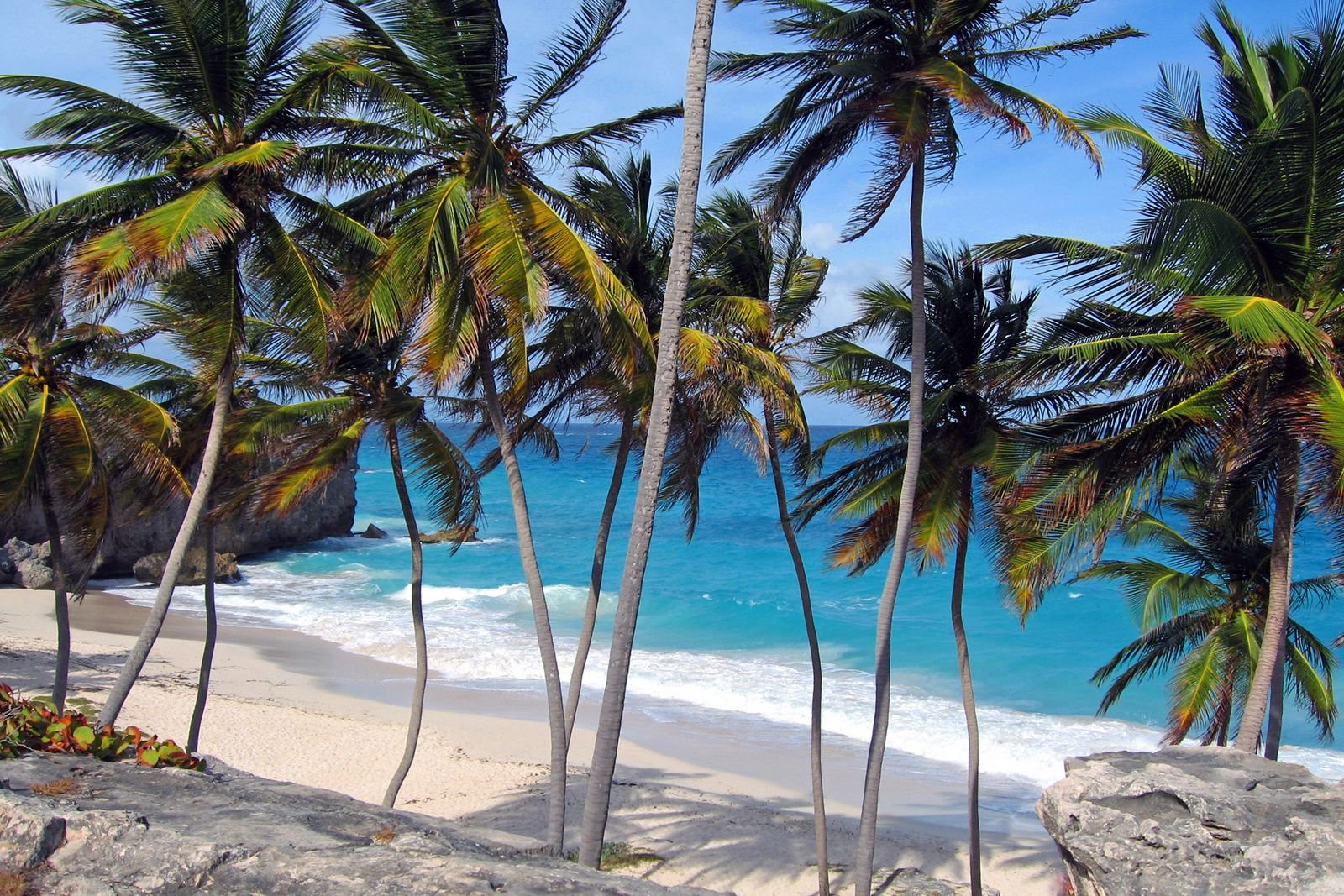 Пляж на Южном побережье, Барбадос. Фото 31 – фотографии Барбадоса