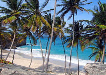 Пляж на Южном побережье, Барбадос. Фото 31 – фотографии Барбадоса