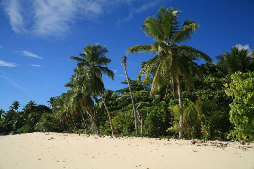 Пляж на острове Силуэтт, Сейшелы. Фото 6 – фотографии Сейшельских островов