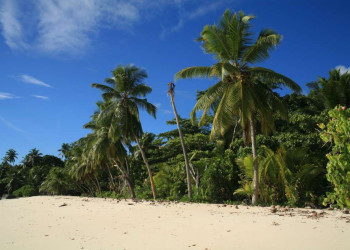 Пляж на острове Силуэтт, Сейшелы. Фото 6 – фотографии Сейшельских островов