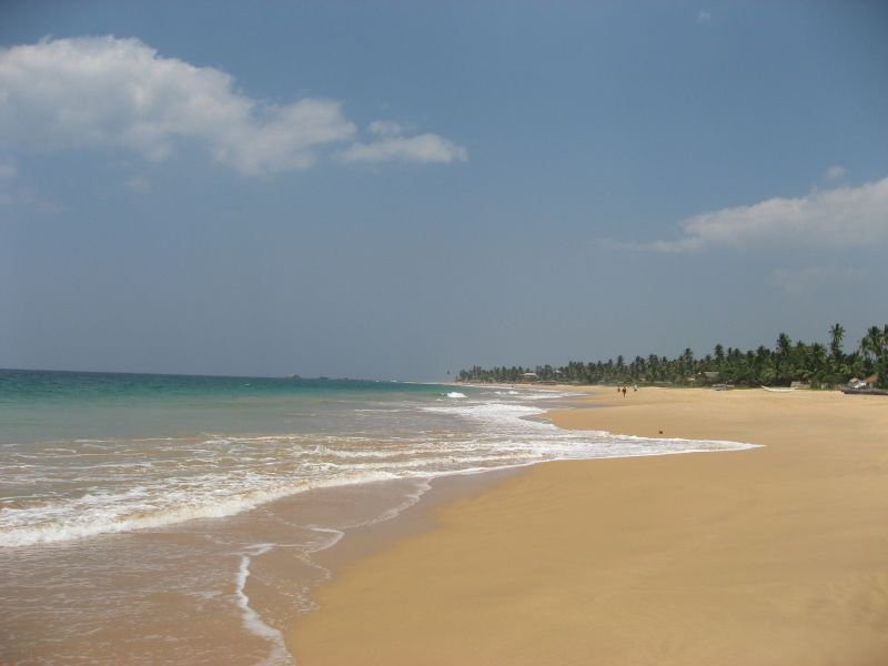 Хиккадува, Шри-Ланка, фото № 52538 – фотографии Шри-Ланки