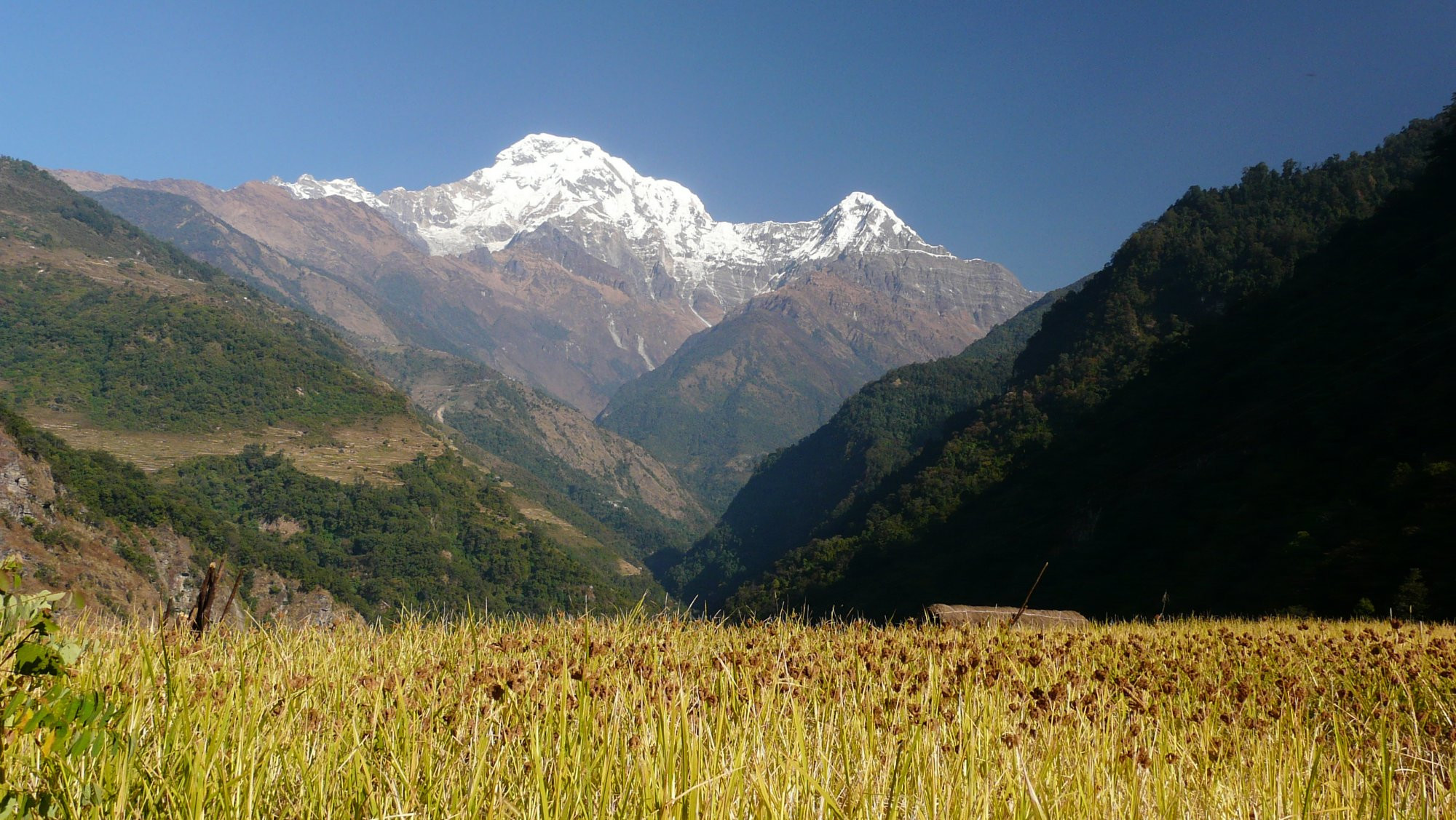 Красота – фотографии Непала