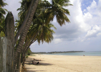 Тринкомали, Шри-Ланка, фото № 52397 – фотографии Шри-Ланки