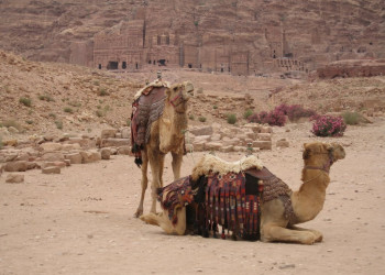Петра, Иордания, фото № 37305 – фотографии Иордании