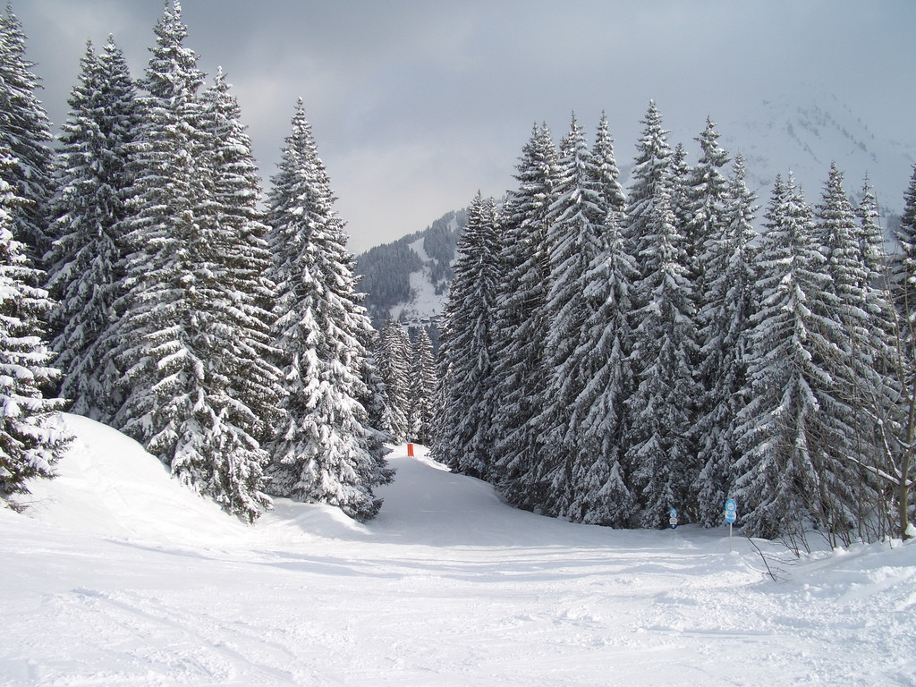 Природа в Ла-Шапель-д'Абонданс, Франция. Фото 2 – фотографии Франции