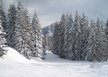 Природа в Ла-Шапель-д'Абонданс, Франция. Фото 2 – фотографии Франции