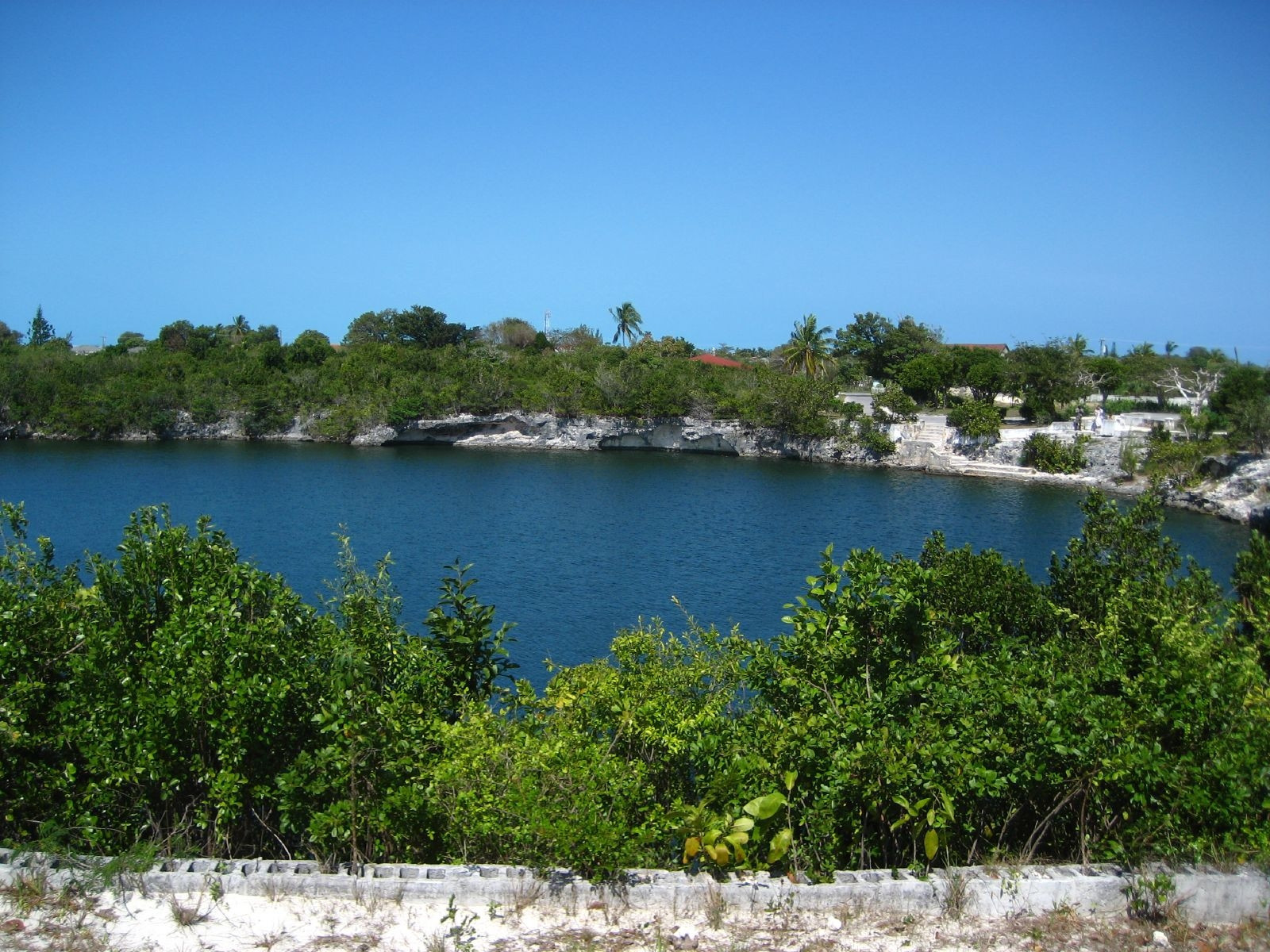 Природа острова Эльютера, Багамские острова. Фото 4 – фотографии Багамских островов