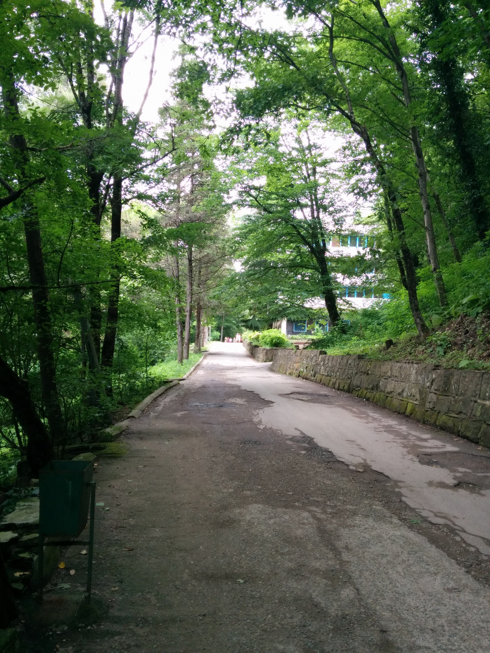 Путь от пляжа к нашему жилому корпусу – фотографии России