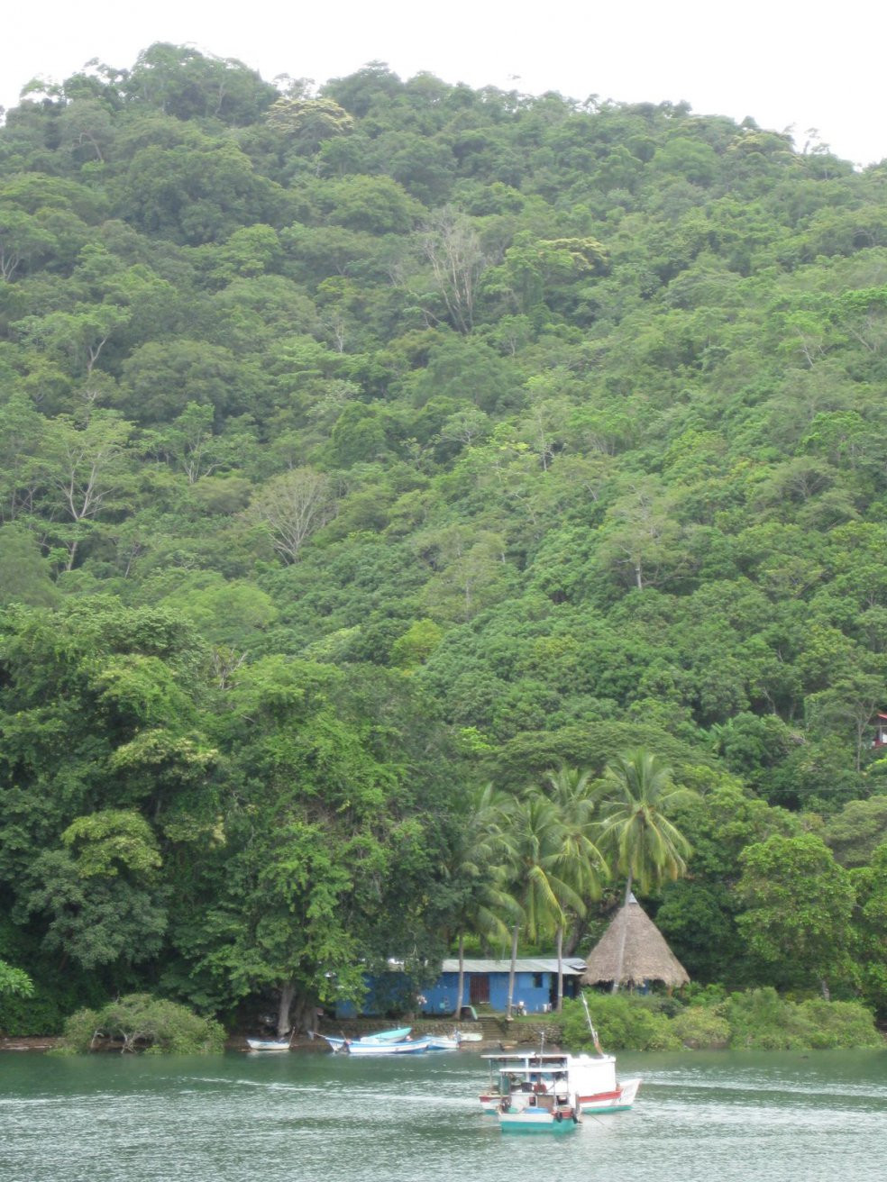 Монтезума, Пунтаренас провинция, Коста-Рика, фото № 40813 – фотографии Коста-Рики