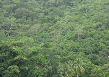 Монтезума, Пунтаренас провинция, Коста-Рика, фото № 40813 – фотографии Коста-Рики