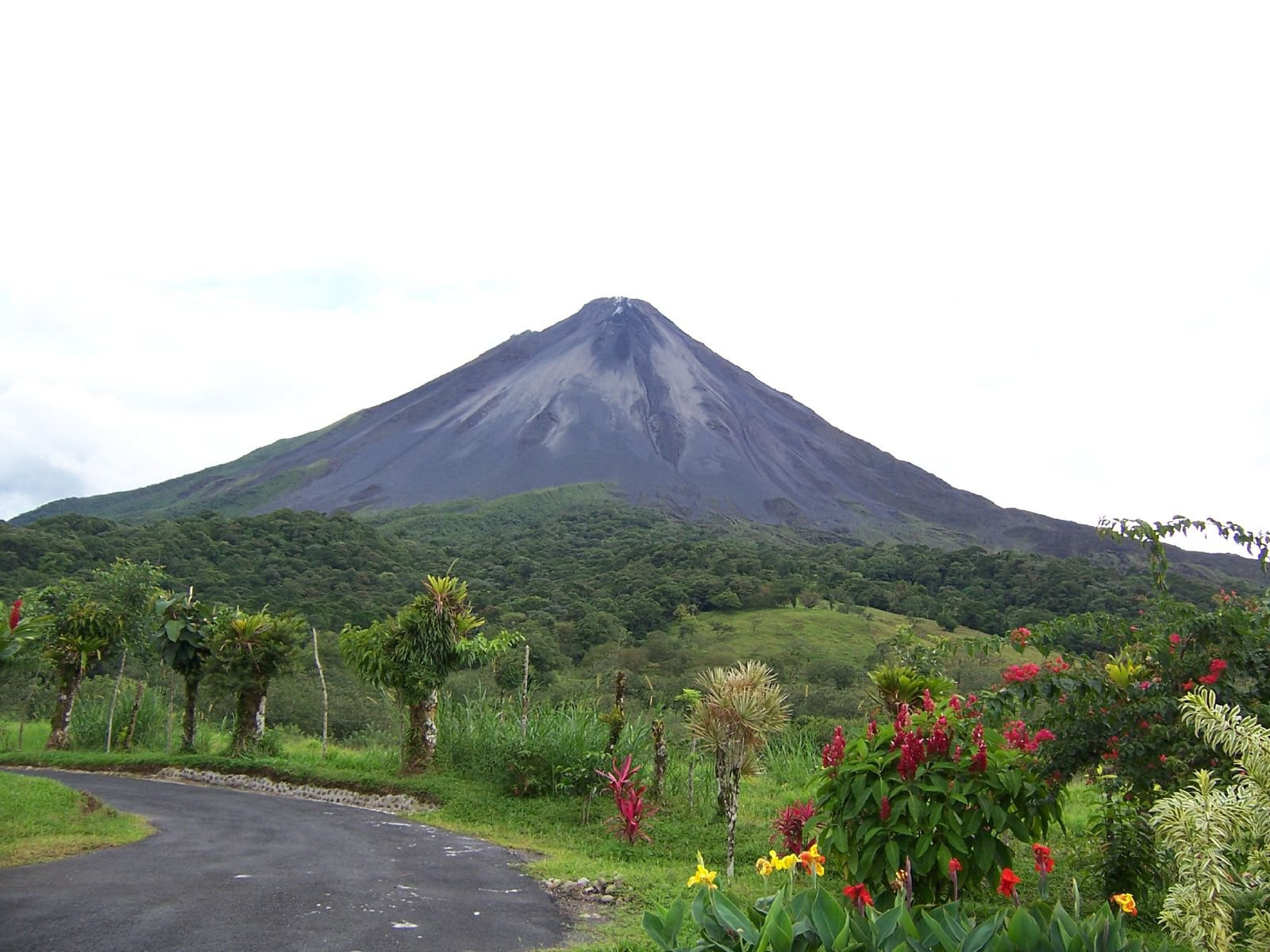 Ареналь Вулкано Национальный Парк, Алахуэла провинция, Коста-Рика, фото № 38908 – фотографии Коста-Рики