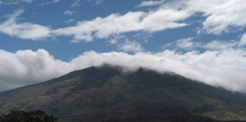 Ринкон де ла Виеха Национальный Парк, Гуанакасте провинция, Коста-Рика, фото № 39258 – фотографии Коста-Рики