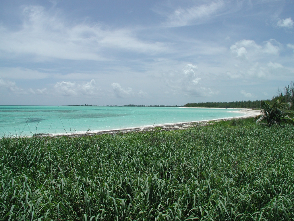 Берега острова Абако, Багамские острова – фотографии Багамских островов