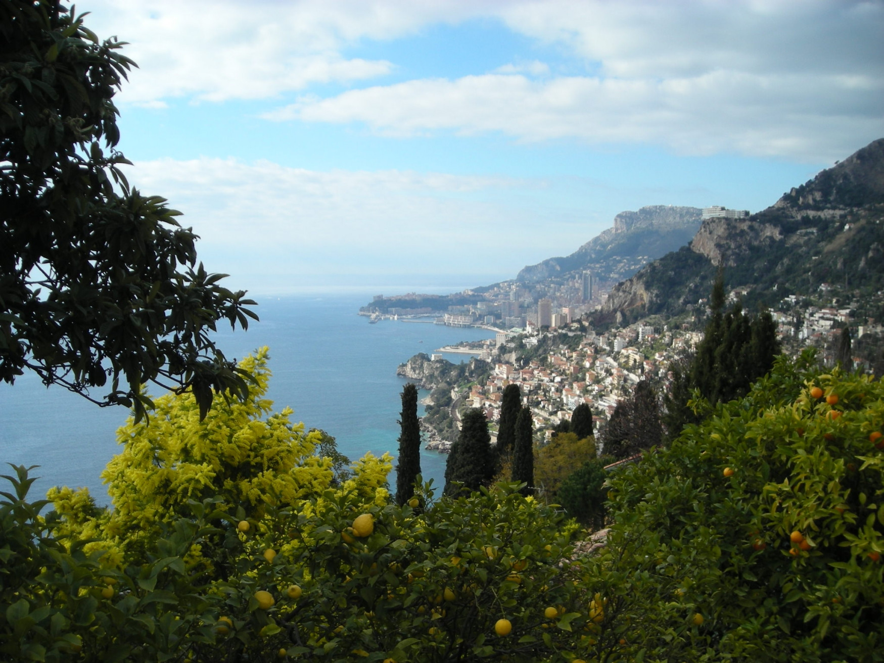 Природа в Рокбрюн-Кап-Мартен, Франция – фотографии Франции