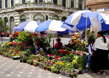 Ecuador_Cuenca – фотографии Эквадора