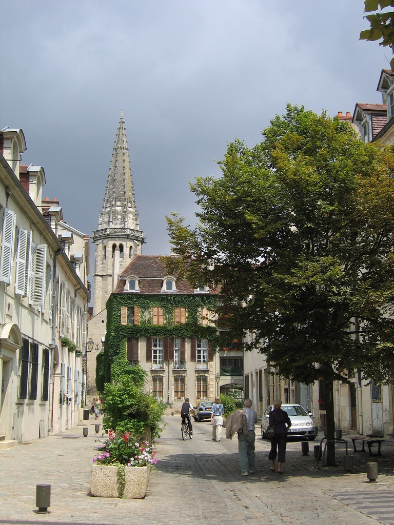 Дома в Дижоне, Франция. Фото 5 – фотографии Франции