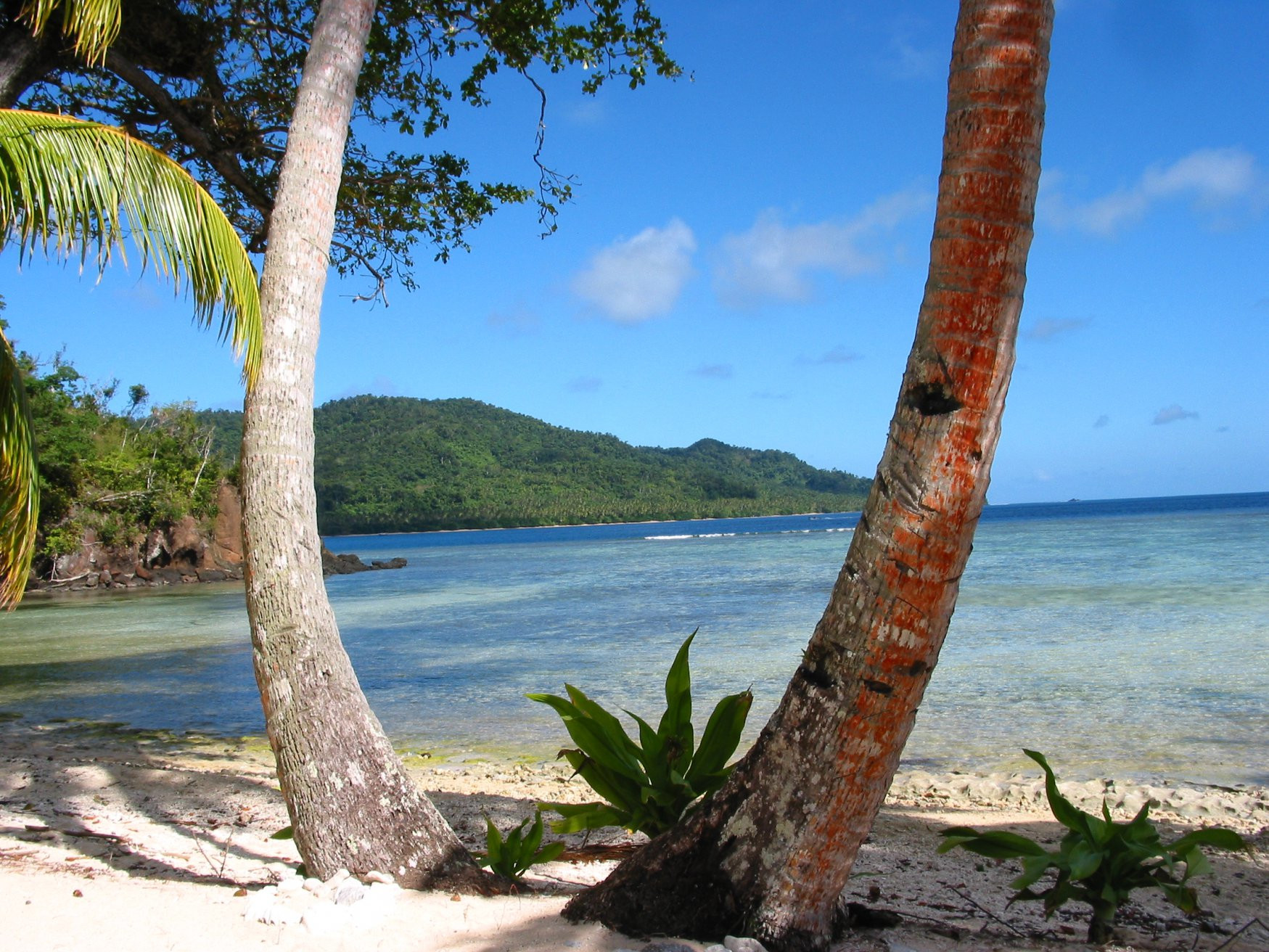 Камеа остров, Вануа Леву группа островов, Фиджи, фото № 49253 – фотографии Фиджи