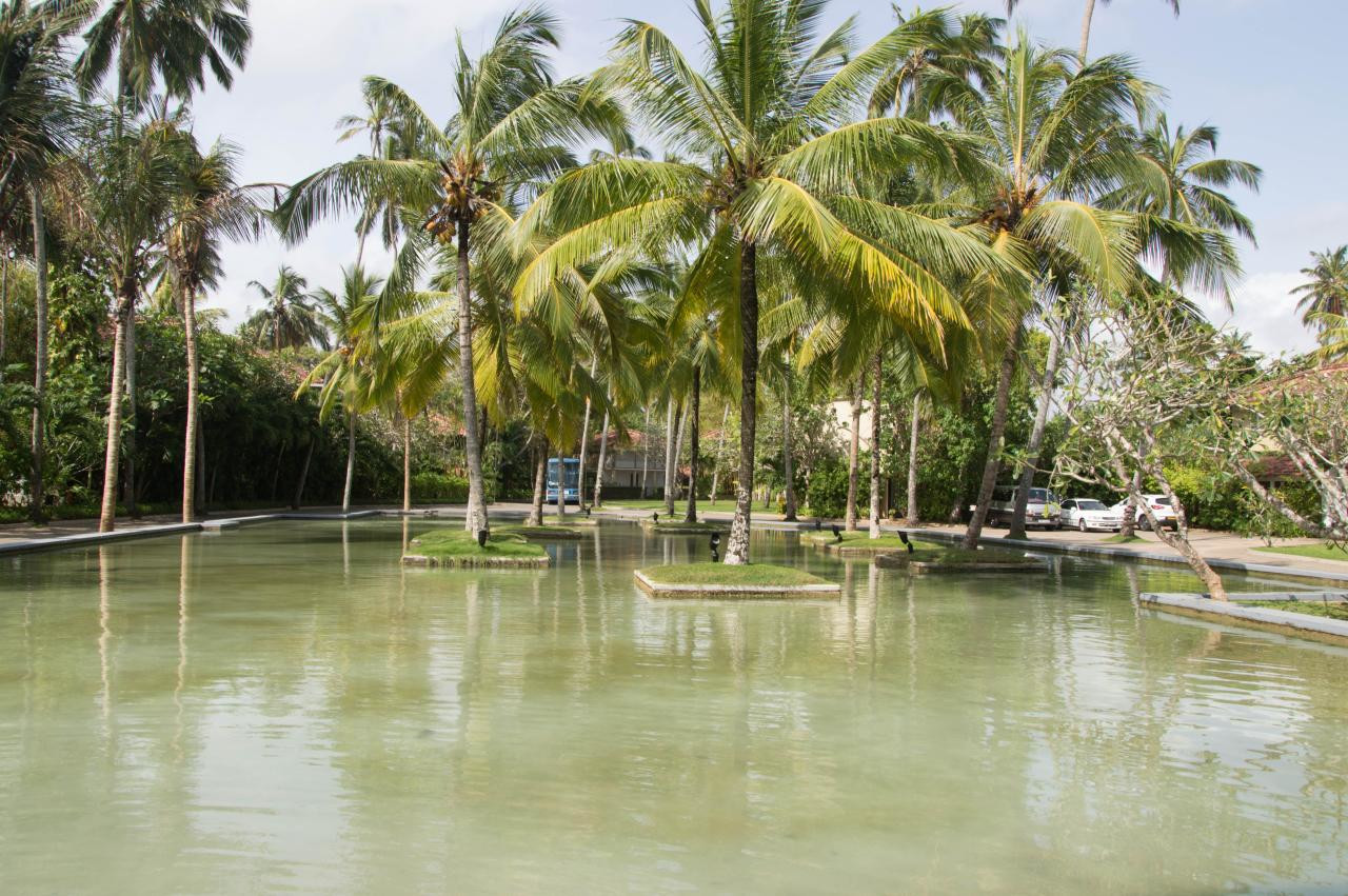 Ахунгалла, бассейн гостиницы Heritance Ahungalla 5* – фотографии Шри-Ланки