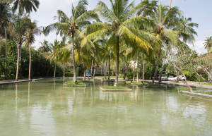 Ахунгалла, бассейн гостиницы Heritance Ahungalla 5* – фотографии Шри-Ланки