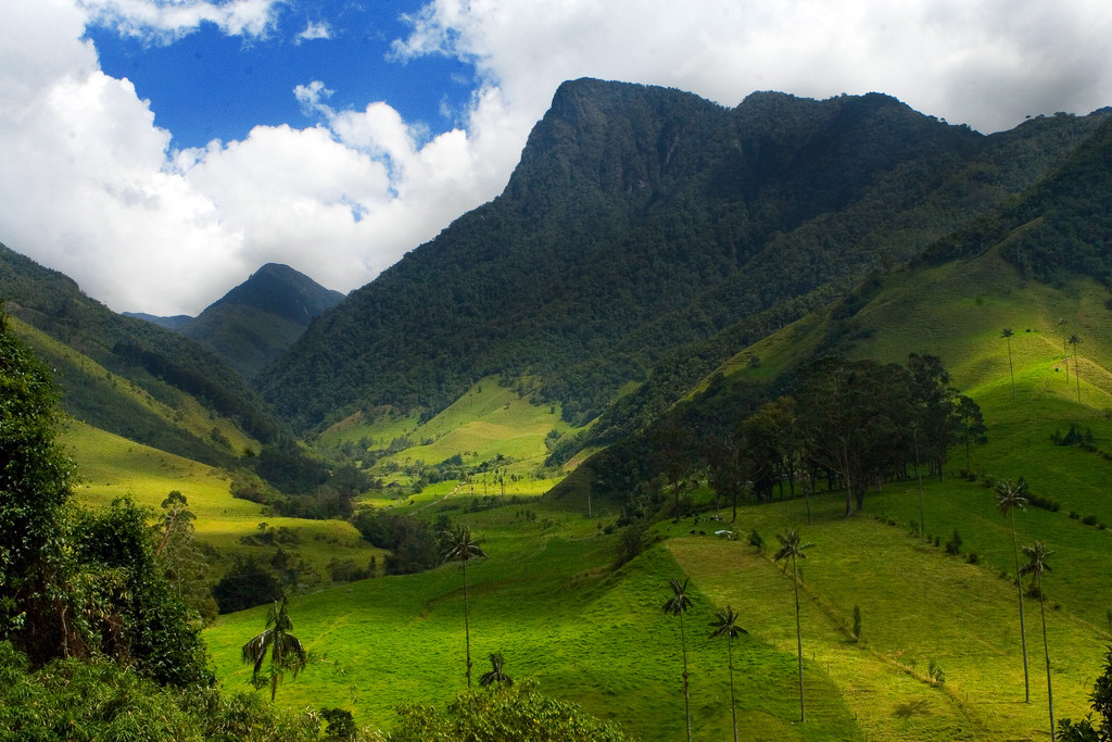 Долина Кокора на западе в Колумбии. Фото 2 – фотографии Колумбии