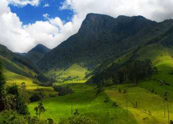 Долина Кокора на западе в Колумбии. Фото 2 – фотографии Колумбии