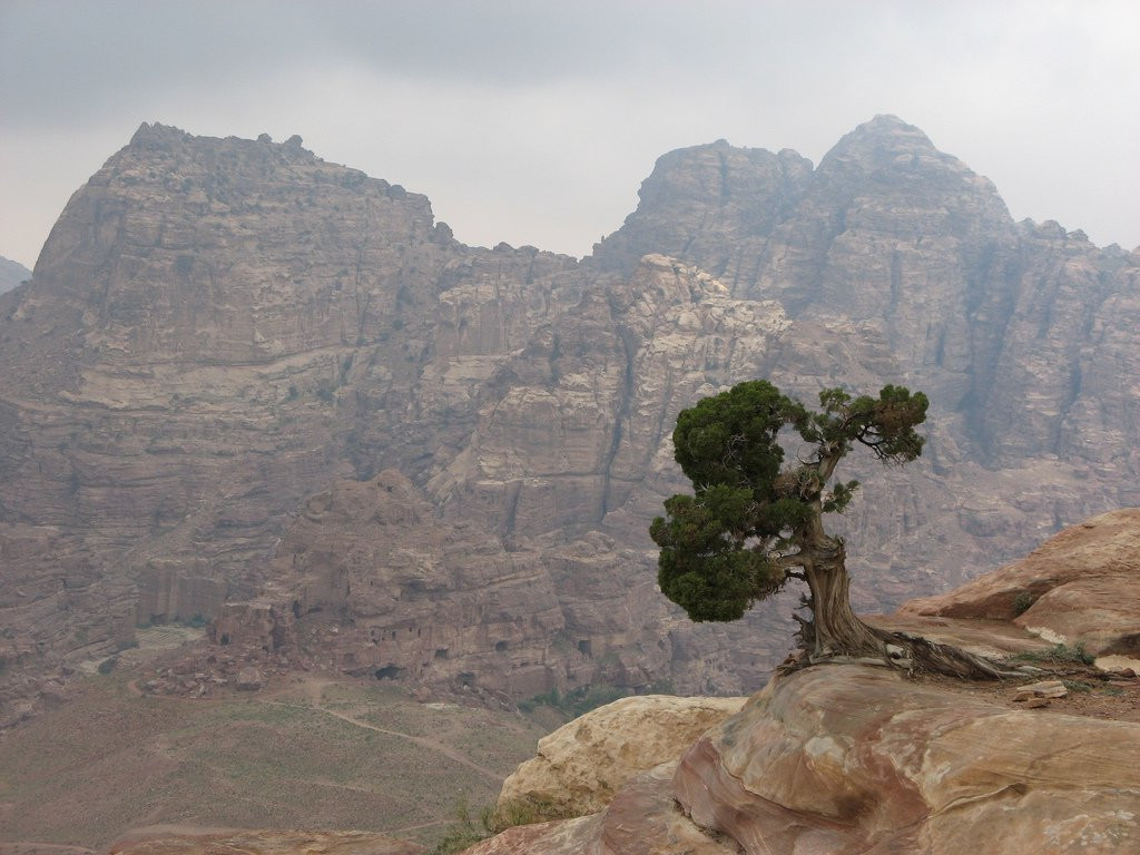 Петра, Иордания, фото № 37252 – фотографии Иордании