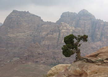 Петра, Иордания, фото № 37252 – фотографии Иордании