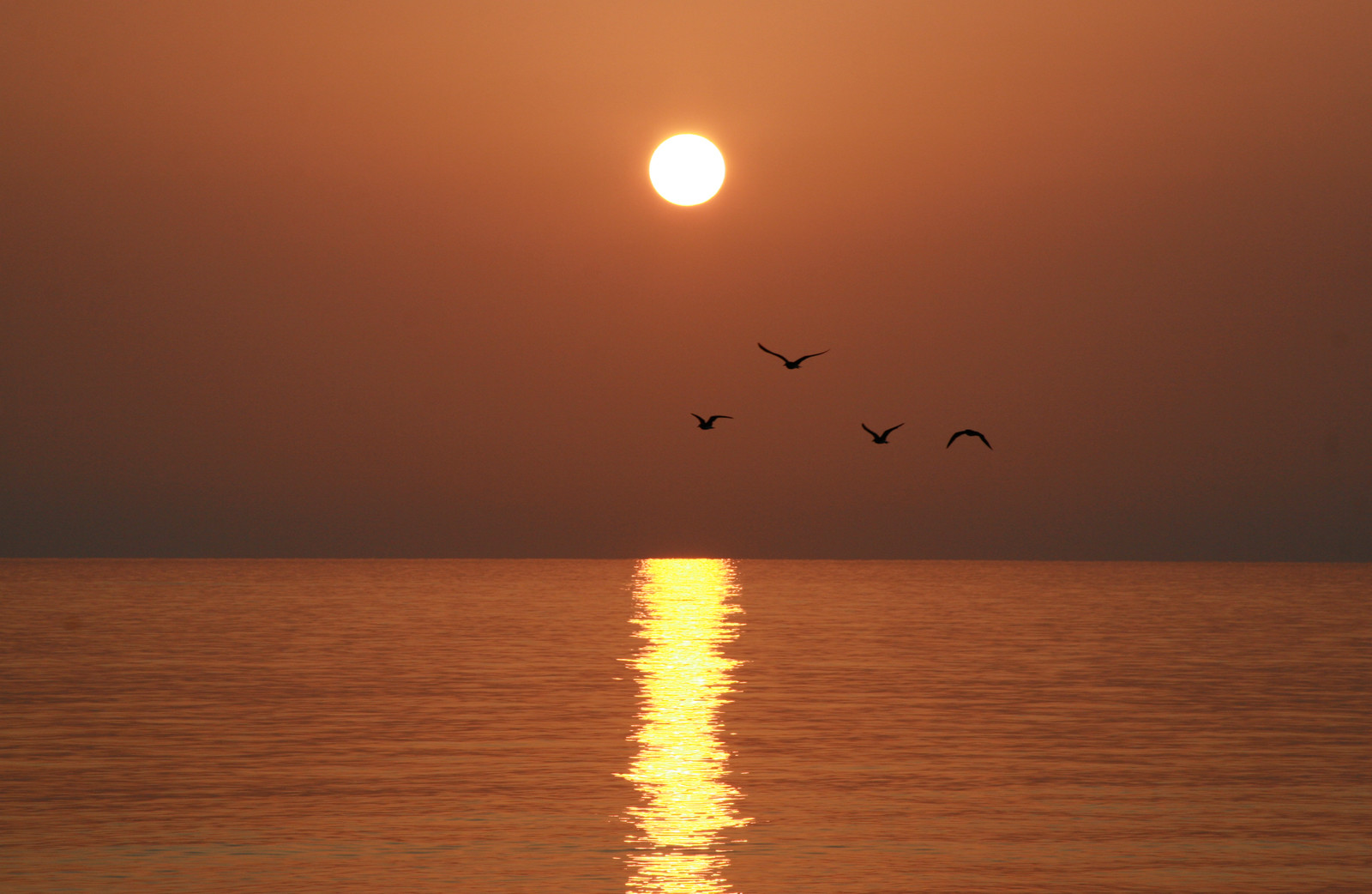 Закат на Сокотре – фотографии Йемена