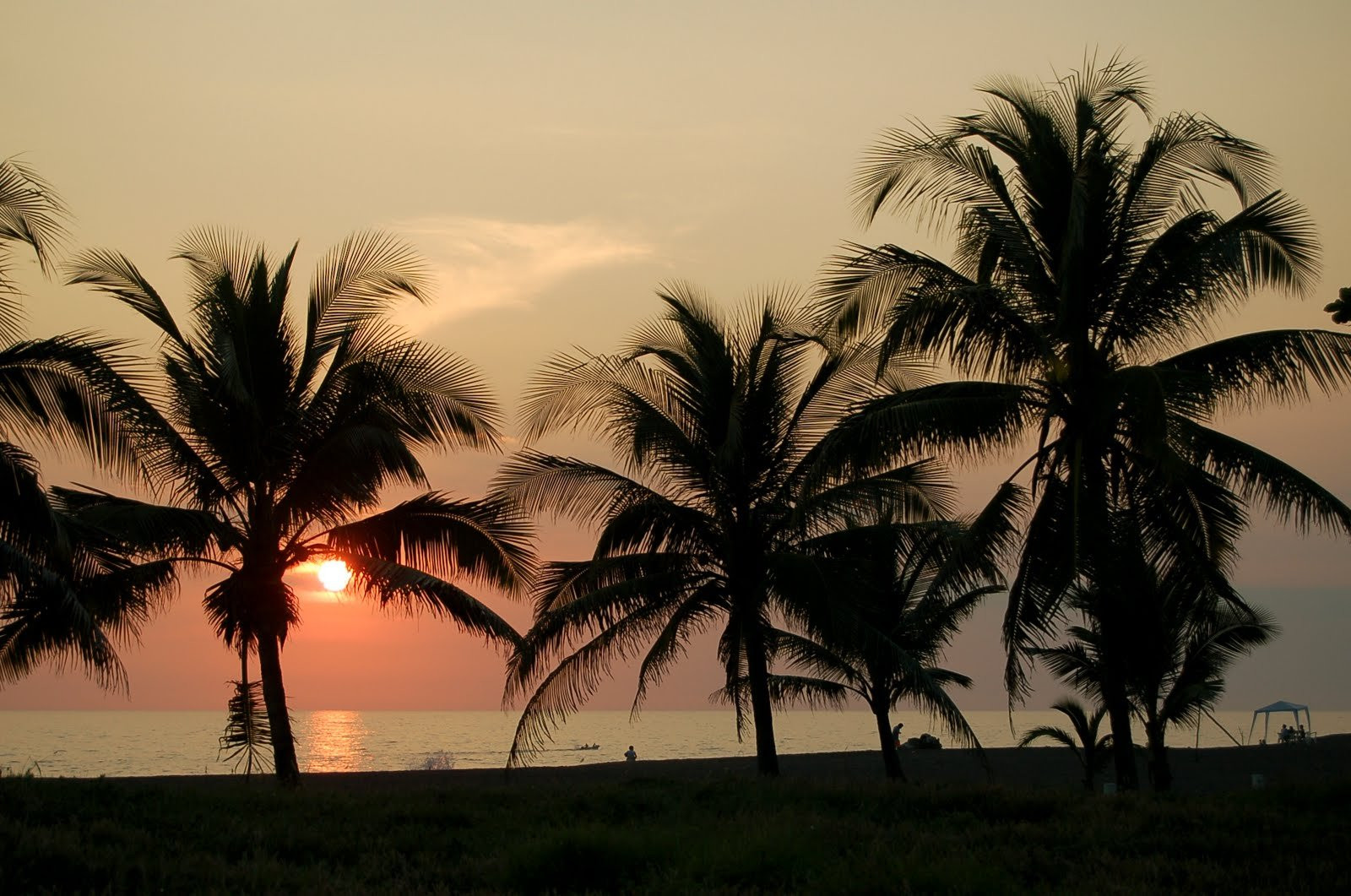 Закат на фоне пальм в Монтеррико, Гватемала – фотографии Гватемалы
