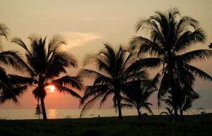 Закат на фоне пальм в Монтеррико, Гватемала – фотографии Гватемалы