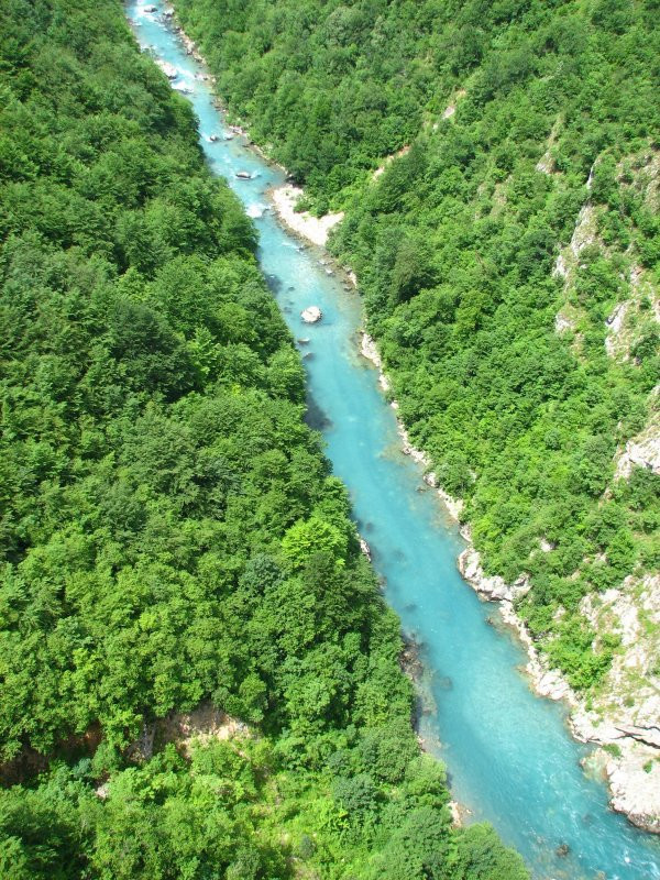 Тара Каньон – фотографии Черногории