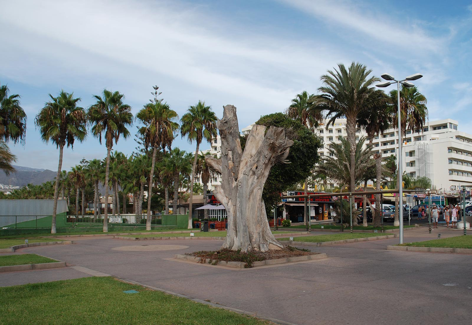Плайя-де-лас-Америкас, Тенерифе остров, Канарские острова, фото № 33558 – фотографии Канарских островов