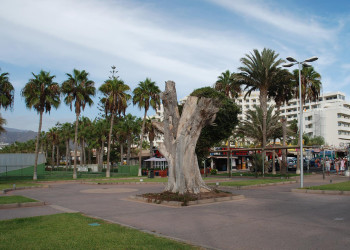 Плайя-де-лас-Америкас, Тенерифе остров, Канарские острова, фото № 33558 – фотографии Канарских островов