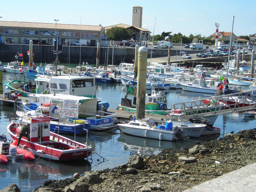 Порт на острове Олерон, Франция – фотографии Франции