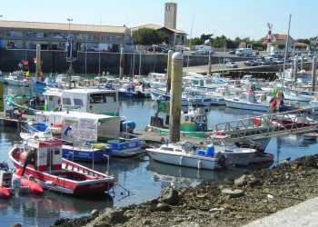 Порт на острове Олерон, Франция – фотографии Франции