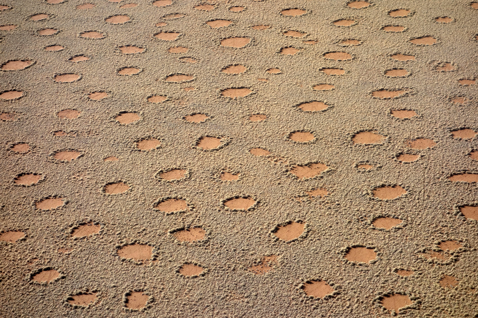 Загадочные круги в Намибии. Фото 2 – фотографии Намибии