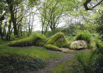 Ближайший населённый пункт – Мегависси, из него в сады Хелигана ходят рейсовые автобусы – фотографии Великобритании